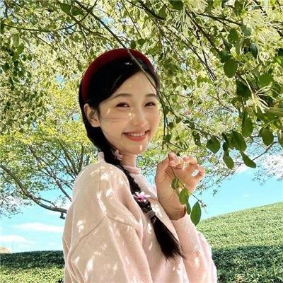 蓝天花朵